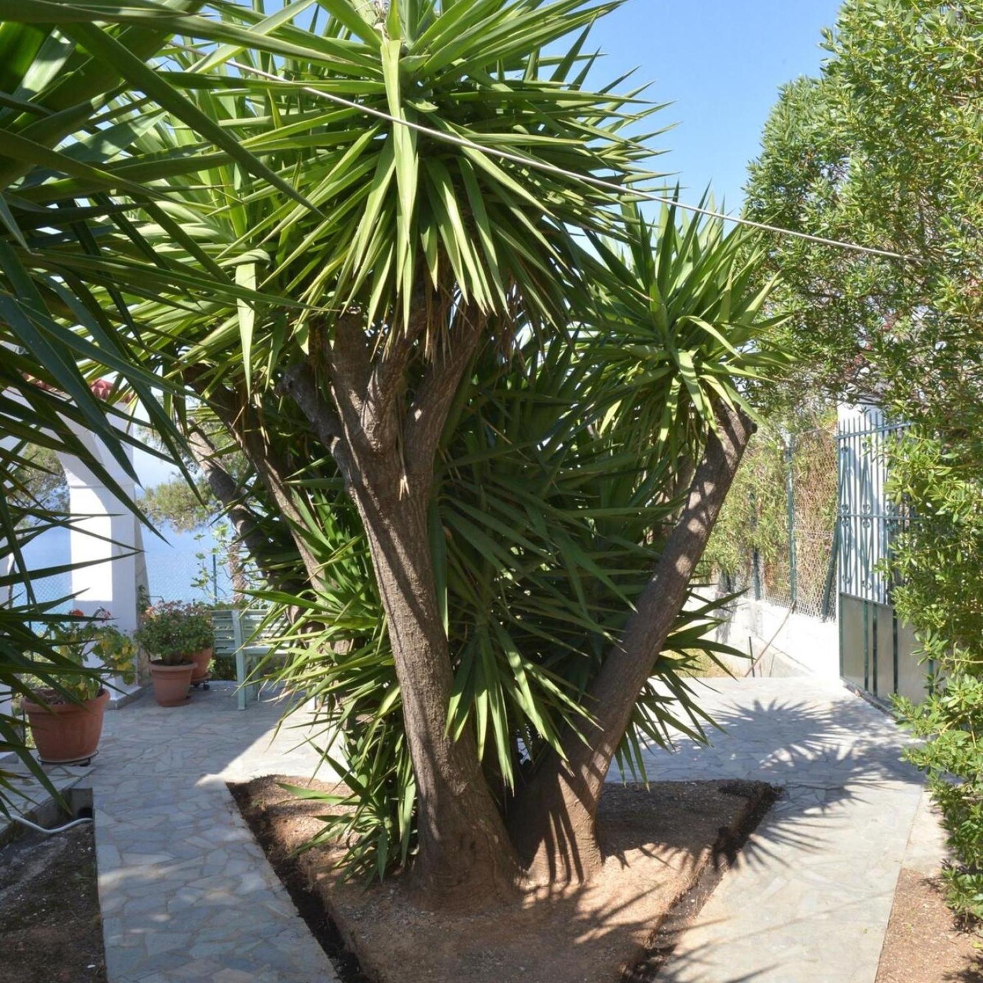 Salamis Beachfront House Exterior foto